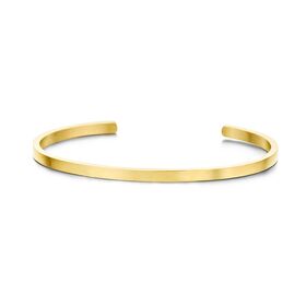 Stainless Steel Yellow Gold Plated Open Bangle (3mm)
